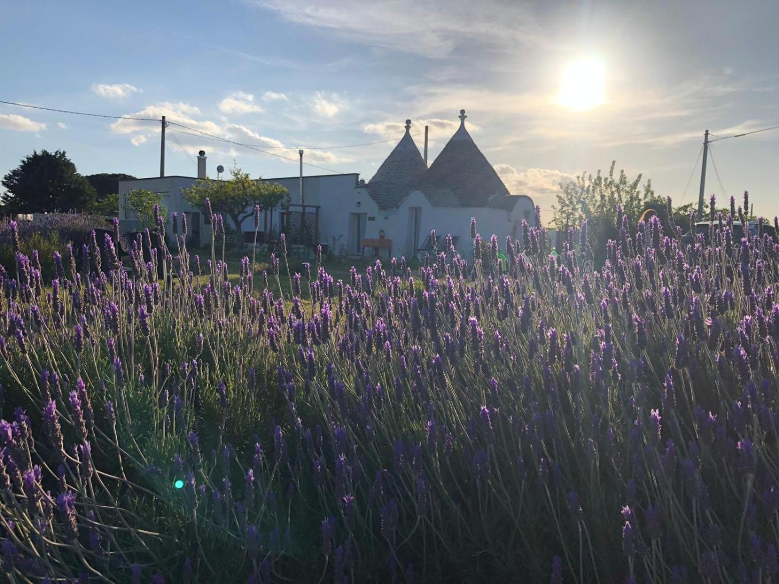 Вилла Trullo Trilli Puglia Мартина-Франка Экстерьер фото