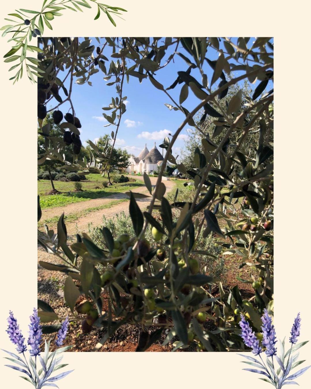 Вилла Trullo Trilli Puglia Мартина-Франка Экстерьер фото